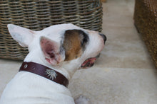 Cargar imagen en el visor de la galería, Collar Agave