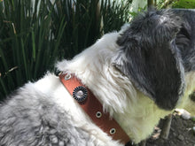 Cargar imagen en el visor de la galería, Collar Daisy