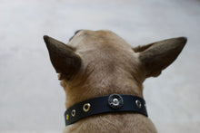 Cargar imagen en el visor de la galería, Collar Daisy