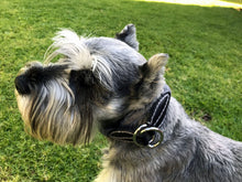 Cargar imagen en el visor de la galería, Collar Doble Aro
