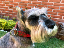 Cargar imagen en el visor de la galería, Collar Doble Aro