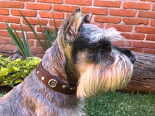 Cargar imagen en el visor de la galería, Collar Fósil