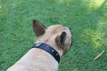 Cargar imagen en el visor de la galería, Collar Fósil