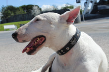 Cargar imagen en el visor de la galería, Collar Agave