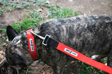 Cargar imagen en el visor de la galería, Correas Nylon