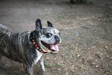 Cargar imagen en el visor de la galería, Collar Polka