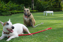 Cargar imagen en el visor de la galería, Correas Cuerda