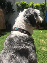 Cargar imagen en el visor de la galería, Collar Sol Azul