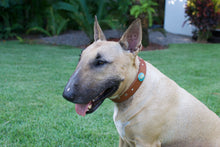 Cargar imagen en el visor de la galería, Collar Sol Azul