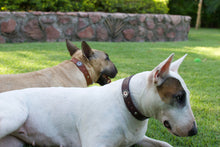 Cargar imagen en el visor de la galería, Collar Sol Rojo