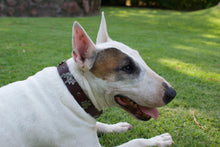 Cargar imagen en el visor de la galería, Collar Suiza