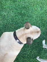 Cargar imagen en el visor de la galería, Collar Suiza