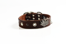 Cargar imagen en el visor de la galería, Collar Agave