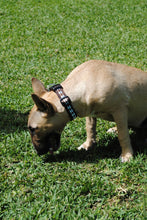 Cargar imagen en el visor de la galería, Collar Arlequín
