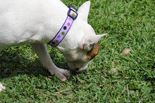 Cargar imagen en el visor de la galería, Collar Polka
