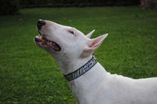 Cargar imagen en el visor de la galería, Collar Zebra
