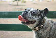 Cargar imagen en el visor de la galería, Collar Zebra
