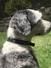 Cargar imagen en el visor de la galería, Collar Logo Silverbone
